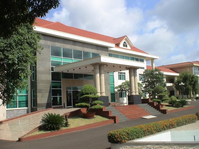 Công ty Cao su Chư Sê vượt lên từ gian khó